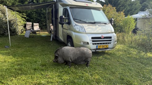 4p Fiat semi-integrated uit 2014