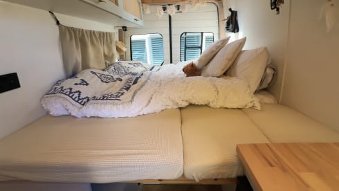 Sandy – Sandy, il camper accogliente a 3 posti letto