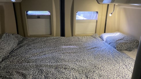 Challenger V114 2 person bus camper from 2019