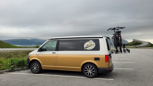 Aloha beach camper Gold – VW T6 California