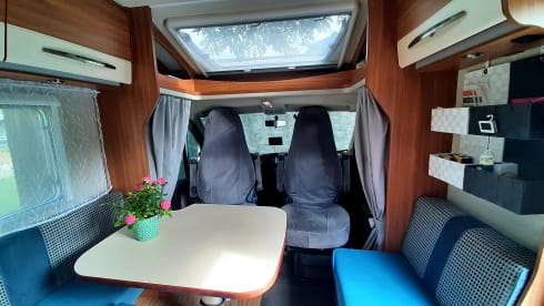 LEOBO – Carado T447