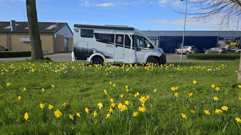 v60  – 3p Sunlight semi-integrated from 2026