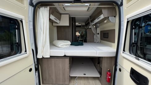 Ideal Bus Camper (2p) from 2016 (Pilote/Bavaria)