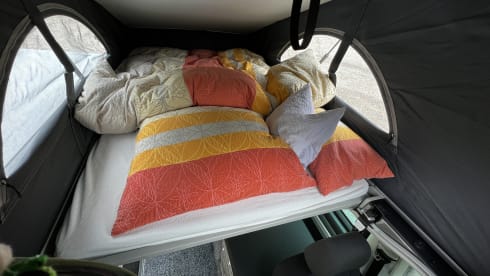 Der Noble – VW T6 California Beach #3, Automatik