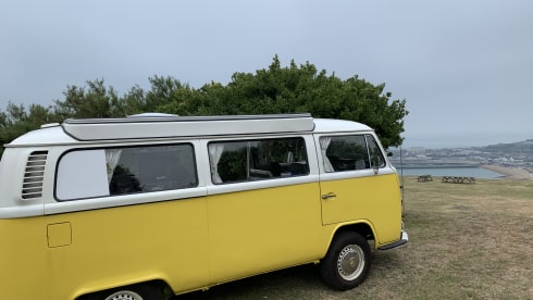 Daffy – Classic VW Type 2 Campervan