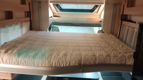 Gian – Giottiline Siena 350