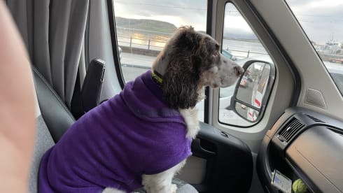 Roxy – Enjoy your holiday in our wonderful motor home.