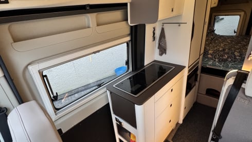 Buster – 4 Berth Bürstner Eliseo from 2023