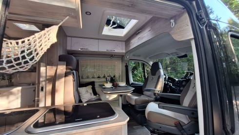 Hermes – Adventurous Bravia Swan 599 Trend 165hp