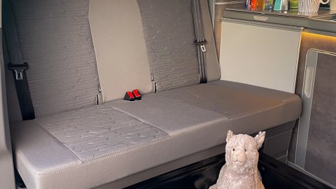 JEAN – JEAN- 4p Volkswagen California Ocean full option 2023 - Automatic