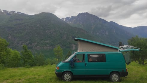 Ted – Nice Volkswagen T4 Westfalia for 3 people