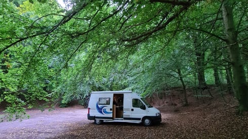 Jimmy – 2p Fiat bus from 2006