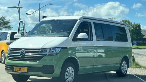 Ventje Avocado – Guy Avocado '24; 4p Volkswagen camper van from 2024