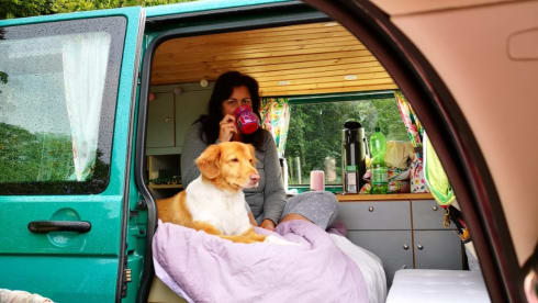 Ludo – Mit Ludwig die Freiheit genießen