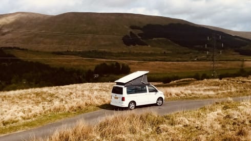 Bettie – VW California Ocean | Freedom & Comfort on Wheels!