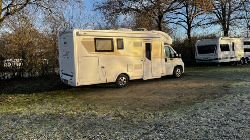 McLouis semi-integrated from 2018