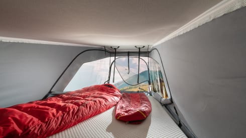 4p Fiat bus from 2022