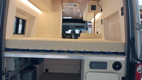4p Volkswagen bus from 2015