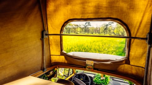 Simba – the yellow retro Volkswagen van with lifting roof