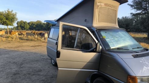 Volkswagen  California