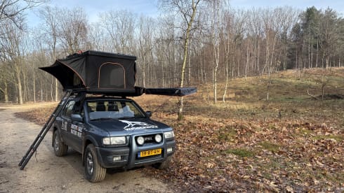 daktent4rent – 2p Weitere Dachterrasse aus dem Jahr 2005