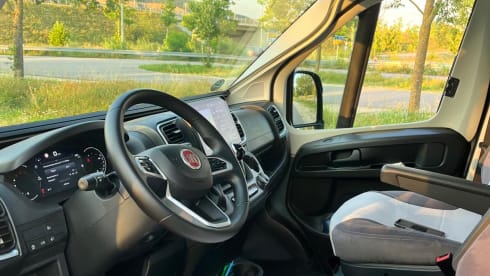 Rollerteam Livingstone Duo Xl