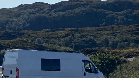White Shark  – Wild Camper