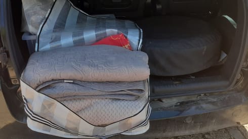 MultiPuglia Travel – Travel sustainably