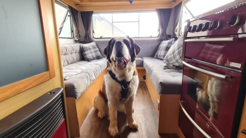 Hercules – 4 berth Peugeot Boxer - newly refurbished 