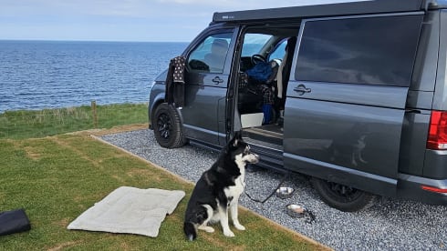 Indy  – VW Transporter Campervan 2021 - 4 Berth