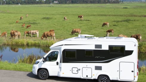 Lyseo T690 IC-line  2017 – Geräumig, luxuriös und komfortabel!