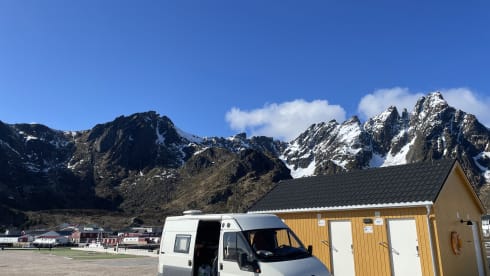 De Berenbus – Ford Transit 2003