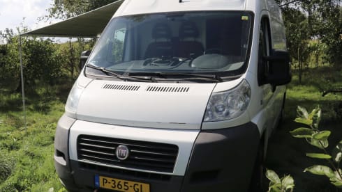 2p Fiat bus from 2011