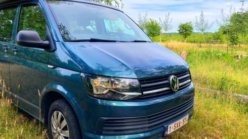 Toontje – Toontje: 4p Volkswagen campervan from 2017