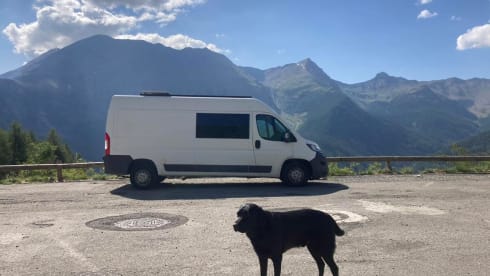 Jerboa – 2 berth Citroën campervan from 2016