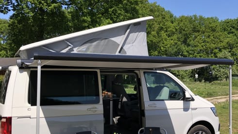 Volkswagen T6 California Ocean Campervan from 2018