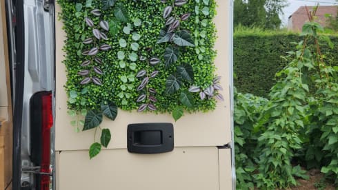 Elsie – 2p Fiat bus from 2014