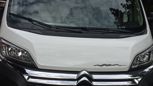 El 31  – Camper furgonato Road Car 540
