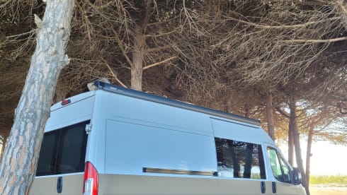 Autobus Fiat 2p del 2016