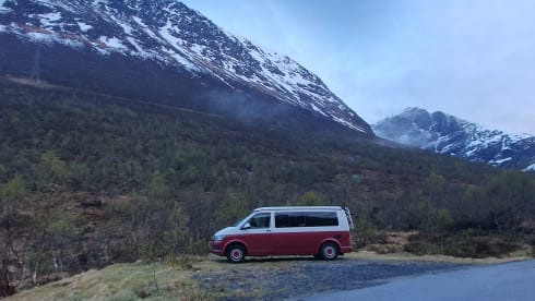 DreamCatcher – 4p Volkswagen kampeerbus uit 2025 - inclusief veel extra's