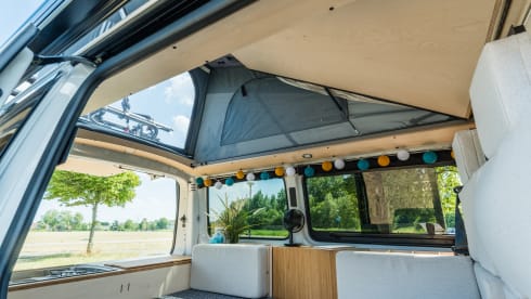 NEW Exclusive VW Bus Camper