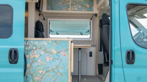Bloesem – 4p Fiat bus uit 2022