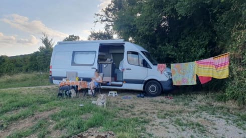 Charlie – Charlie to Friesland