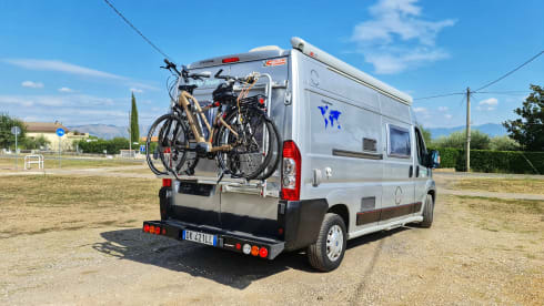 TheTripTherapy – If you can dream it you can do it.