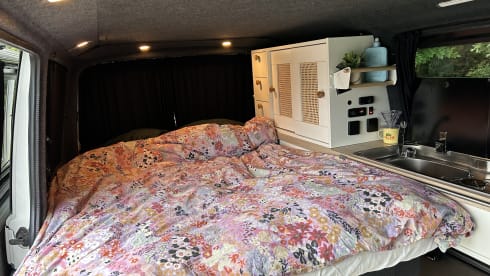 Vanny Blue – Luxurious & attractive VW camper Woodpecker - 4p