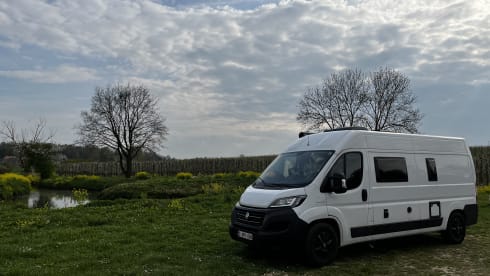 Zwijndrecht_Vantwerp – Fiat Chausson V594 