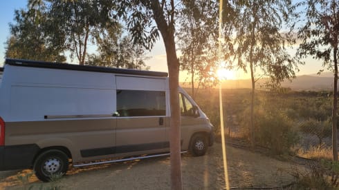 Autobus Fiat 2p del 2016