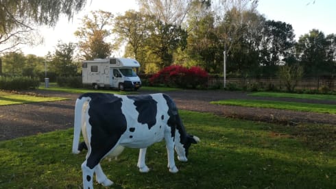 McLouis Lagan Alcove camper from 2008