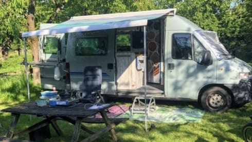 Billie – 2p Peugeot bus from 2000