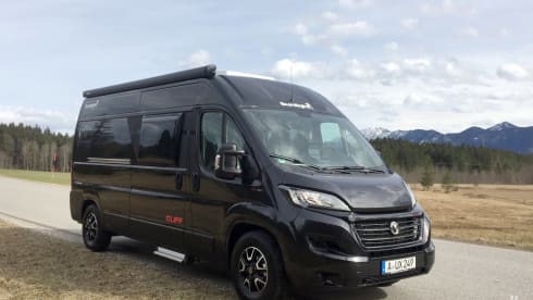 4p Sunlight bus uit 2021